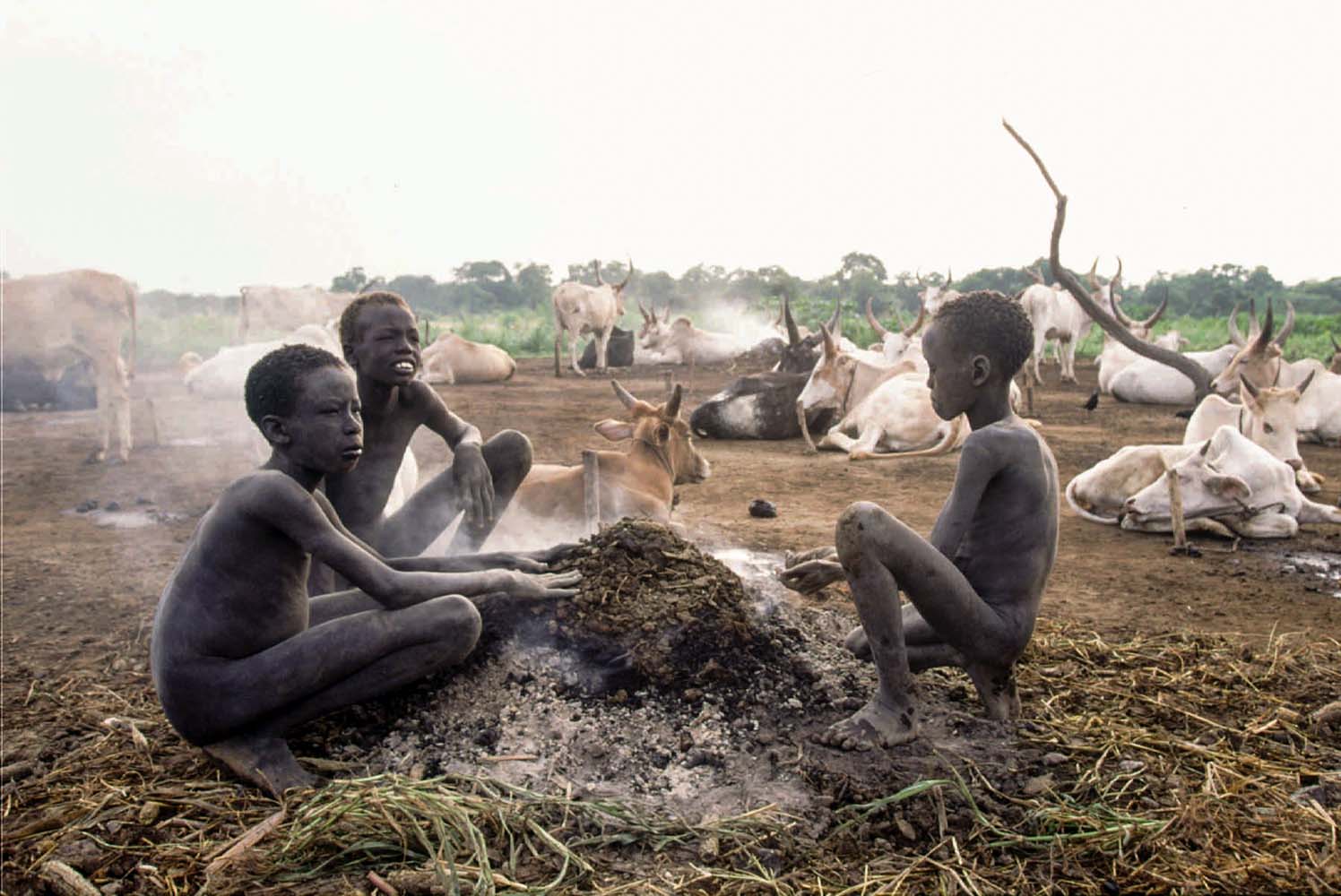 Naked Dinka boys burn dried cow dung to keep mosquitoes off the nearby cows in a cattle camp near Thiet, Sudan July 12, 1996. Their elders fear that because of the destruction caused by southen Sudan's 13-year-old civil war, this generation may lose the Dinkas' culture of catle that has survived thousands of years of drought, disease and famine. (AP Photo/Jean-Marc Bouju)